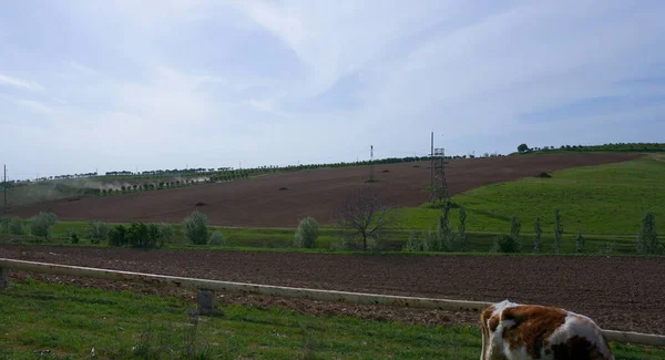 Plowing Field Spring May — Fotografia de Stock