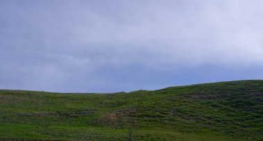                 Wide field and cloudy sky, trees on the hill               