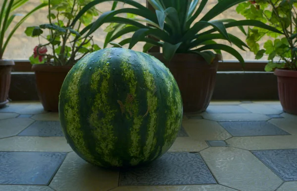 Large Watermelon Hallway Well Cooked Watermelon — Fotografia de Stock