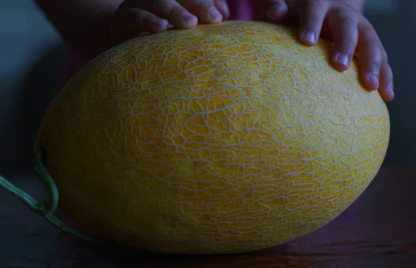 Yellow melon on the table, ripe melon