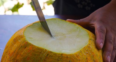                    Kavun, bıçakla kesilmiş sulu bir kavundur.            