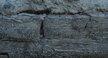                  Ahşabın çürümüş yapısı, eski bir binanın kalıntıları.              