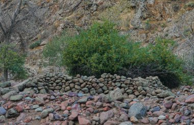           Bir ağacın altında büyük bir taş, büyük gri bir taş                     