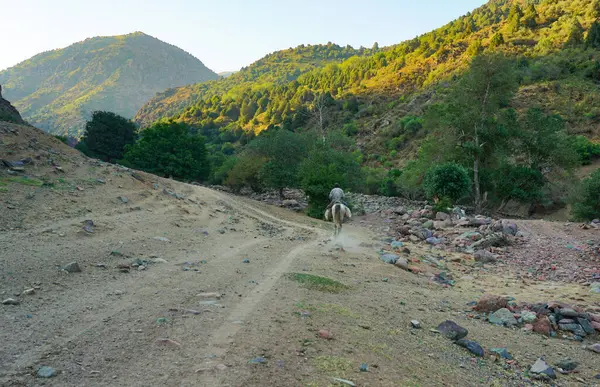 Man Horseback Can Seen Distance Mountain — Stock Photo, Image