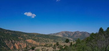               Dağlar - mavi gökyüzü ve ağaçlar, Parkent dağları, Özbekistan                 