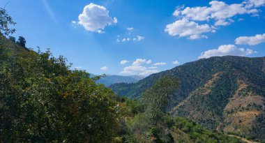                  Dağlar - mavi gökyüzü ve ağaçlar, Parkent dağları, Özbekistan              