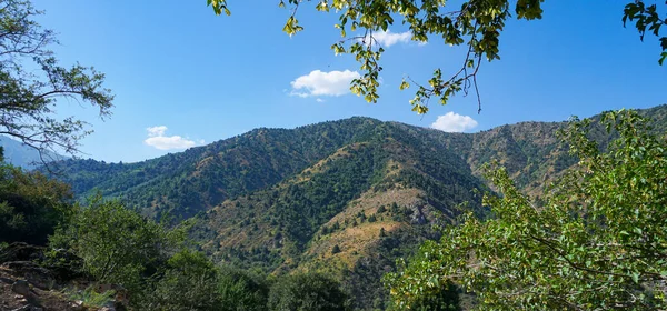 Βουνά Μπλε Ουρανός Και Δέντρα Parkent Βουνά Ουζμπεκιστάν — Φωτογραφία Αρχείου