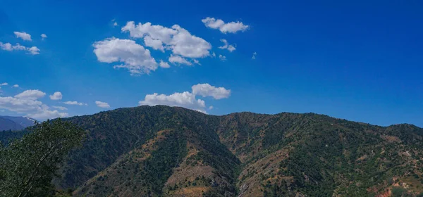 Dağlar Mavi Gökyüzü Ağaçlar Parkent Dağları Özbekistan — Stok fotoğraf