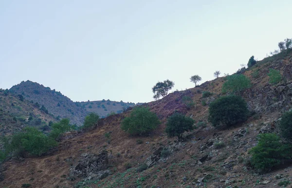 Hory Modrá Obloha Bílé Mraky Parkent Mountains Uzbekistán — Stock fotografie