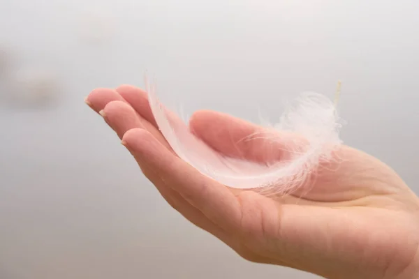 White swan feather on a hand of a white woman.