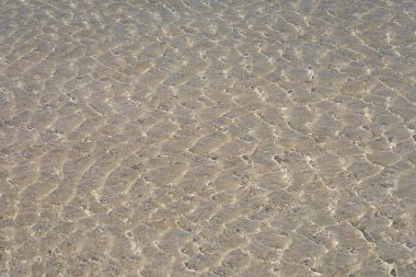 Girit 'teki tropikal kumlu plajda temiz suyun yüzeyi