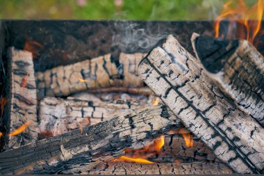 Doğada bir ızgarada yanan odun. Yaklaş.