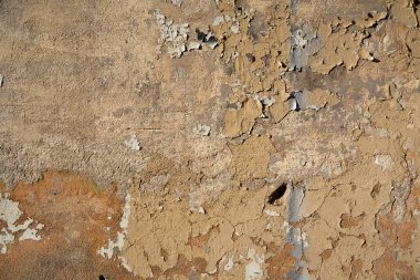 Arka planda boyası soyulmuş eski bir duvar.