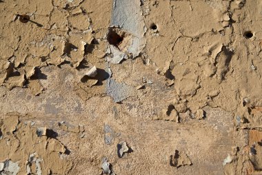 Arka planda boyası soyulmuş eski bir duvar.