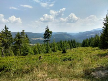 Avrupa 'nın derin ormanları, nehir ve göl.