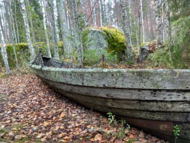 Avrupa 'nın derin ormanları, nehir ve göl.