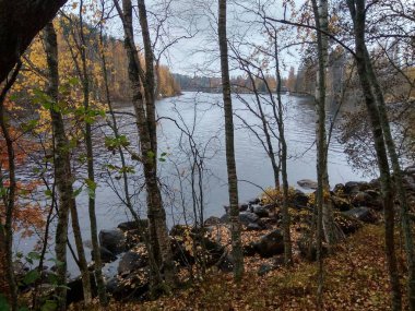 Avrupa 'nın derin ormanları, nehir ve göl.