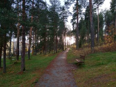 Avrupa 'nın derin ormanları, nehir ve göl.