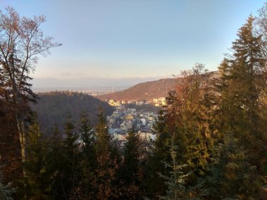 Avrupa 'nın derin ormanları, nehir ve göl.