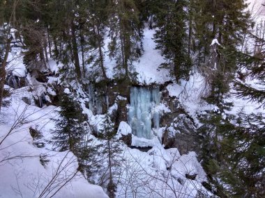 Avrupa 'nın derin ormanları, nehir ve göl.