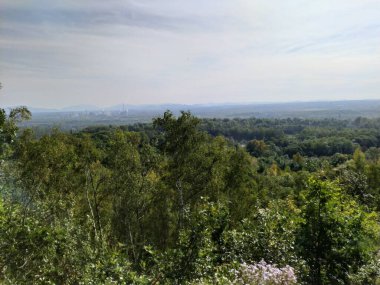 Avrupa 'nın derin ormanları, nehir ve göl.