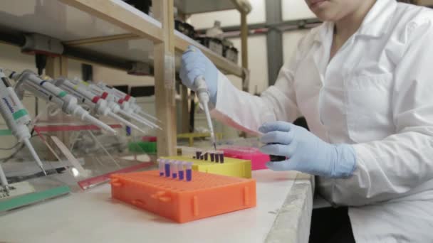Üniversitedeki Genetik Bir Laboratuvarda Küçük Şişelere Örnek Aktaran Bir Araştırmacının — Stok video