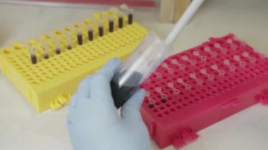 Üniversitedeki genetik bir laboratuvarda küçük şişelere örnek aktaran bir araştırmacının yakın görüntüsü. 