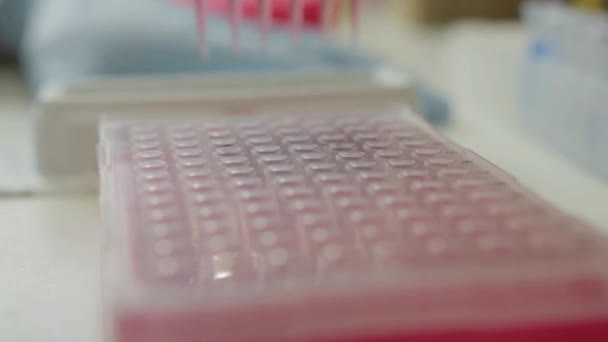 Widok Badacza Przenoszącego Próbki Mniejszych Fiolek Laboratorium Genetycznym Uniwersytecie — Wideo stockowe