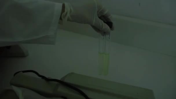 Fluorescenční Test Bakterie Pseudomonas Aeruginosa — Stock video