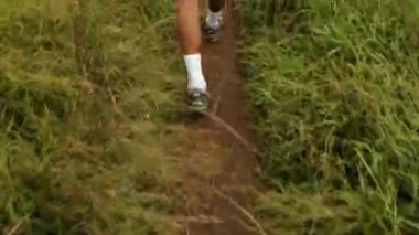 Galapagos Adası, Ekvador 'da çalılıklarda yürüyen bir yürüyüşçüyü takip eden HD görüntüleri.