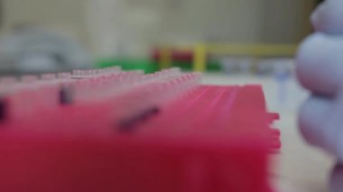Üniversitedeki genetik bir laboratuvarda küçük şişelere örnek aktaran bir araştırmacının yakın görüntüsü. 
