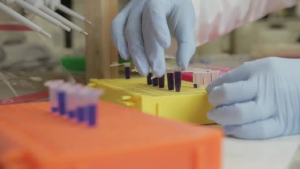 研究人员将样本转移到大学基因实验室的小瓶中的近景 — 图库视频影像