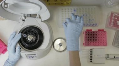 Üniversitedeki genetik bir laboratuvarda bir santrifüj numunesi taşıyan bir araştırmacının yukarıdan çekilmiş fotoğrafı.