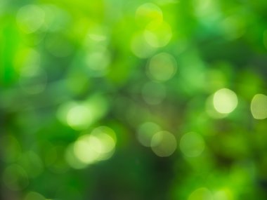 yeşil zemin üzerine bokeh.