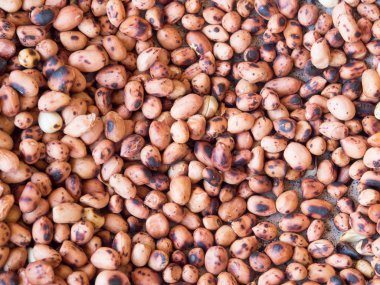 Sıcak kavrulmuş fıstık.