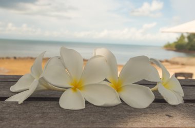 Frangipani çiçek şemsiye ve gökyüzü arka plan.