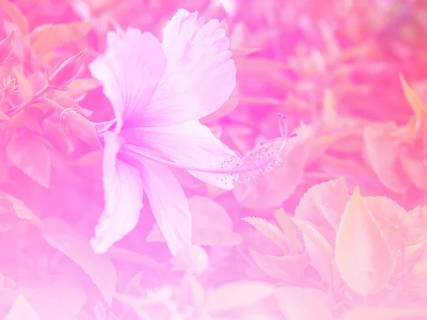 カラフルなフィルターで作られた美しい花. — ストック写真
