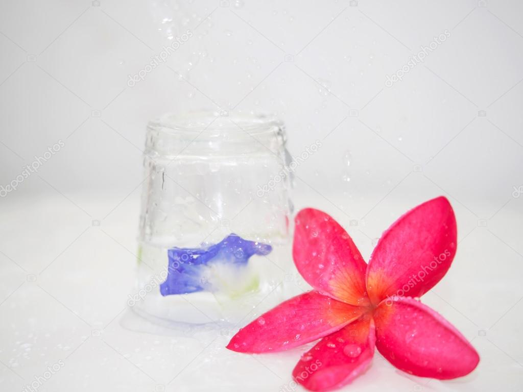 Dark Pink Frangipani Flower Placed Beside A Glass Of Water Upside Down And Pea Flowers Inside The Glass Stock Photo C Monrudee 77938718