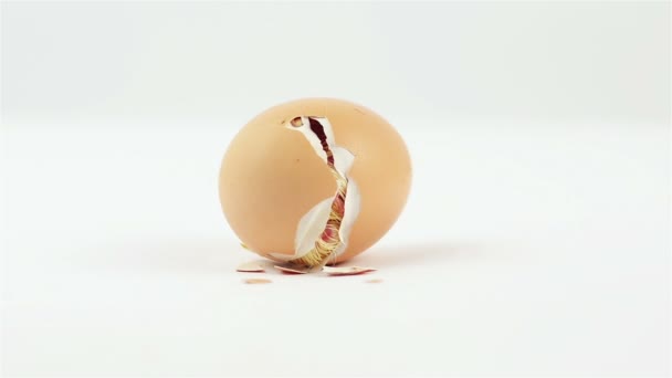 Цыпленок вылупляется из яйца во времени. — стоковое видео