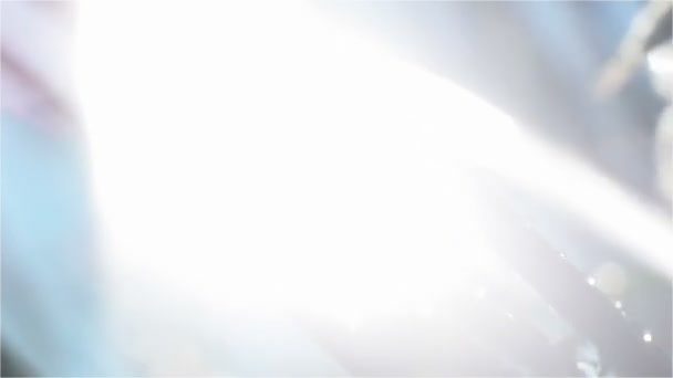 Rosée du matin sur l'herbe Gros plan Vers le soleil avec la fleur 