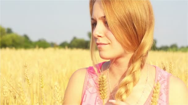 Blonde, Plait, Girl, Braid, Grain, Hair, Hairstyles, Harvest — Stock Video