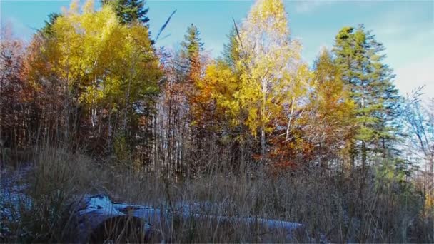 Mattina di autunno sulla montagna — Video Stock