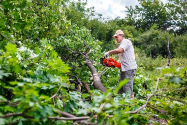 Woodman ağaç kesmek onun testere kullanır