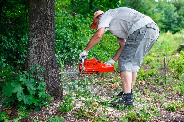 Woodman gebruikt zijn kettingzaag knippen de boom — Stockfoto