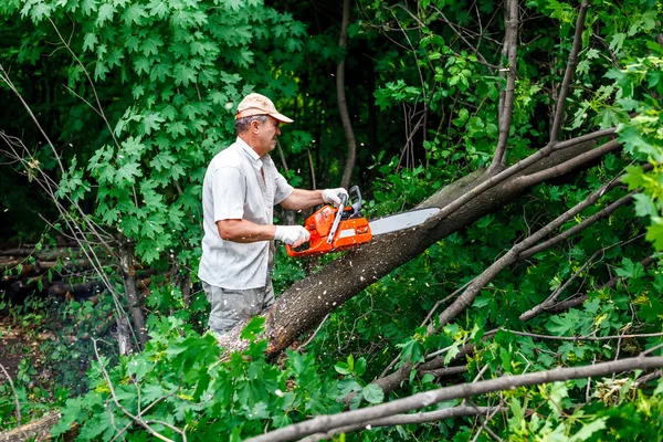 Woodman usa sua motosserra cortar a árvore — Fotografia de Stock