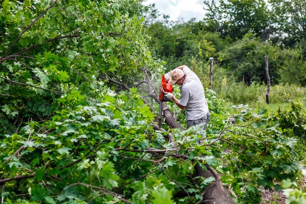 Woodman gebruikt zijn kettingzaag knippen de boom — Stockfoto