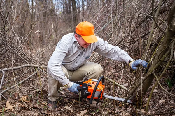 Woodman ağaç kesmek onun testere kullanır