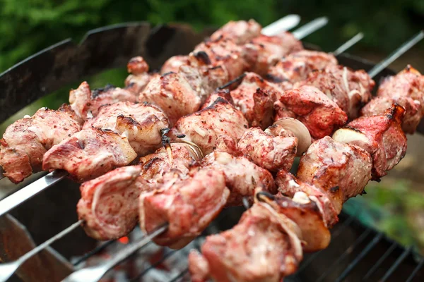 Barbecue arrosto di carne kebab griglia calda, buon spuntino picnic all'aperto — Foto Stock