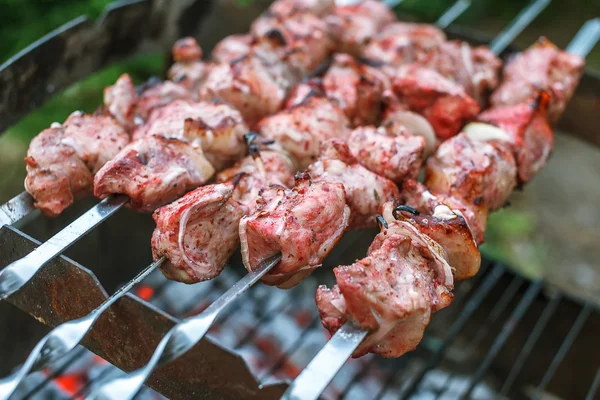 Barbecue roasted meat kebab hot grill, good snack outdoor picnic — Stock Photo, Image