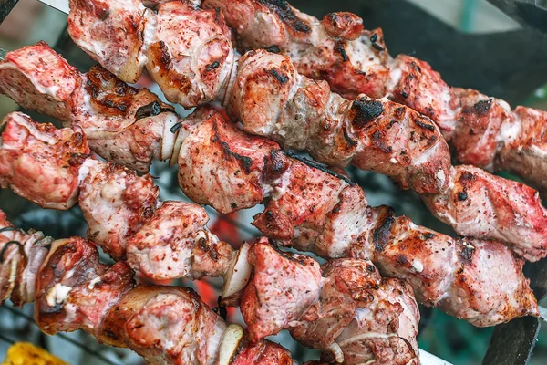 Barbecue roasted meat kebab hot grill, good snack outdoor picnic — Stock Photo, Image